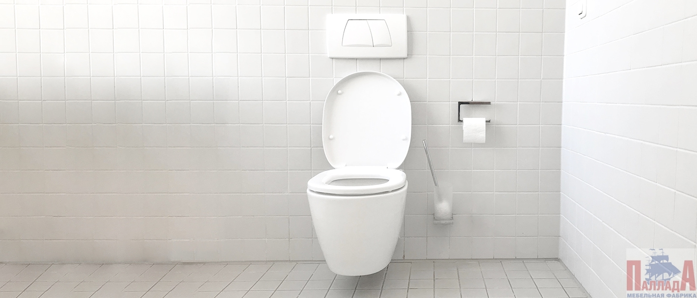 Как правильно выбрать унитаз: советы от эксперта-дизайнера.